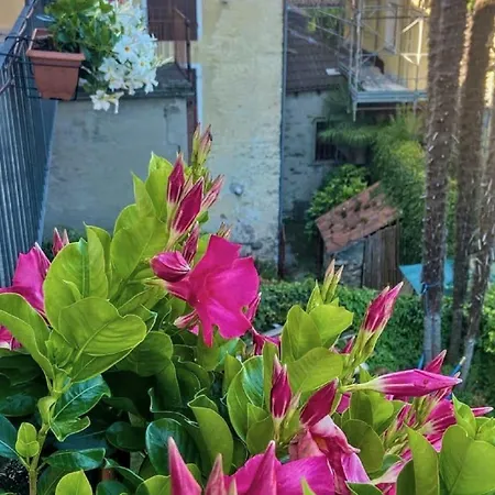 Casa Doris Apartment *